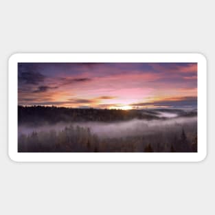 Sunrise in a mist forest Sticker